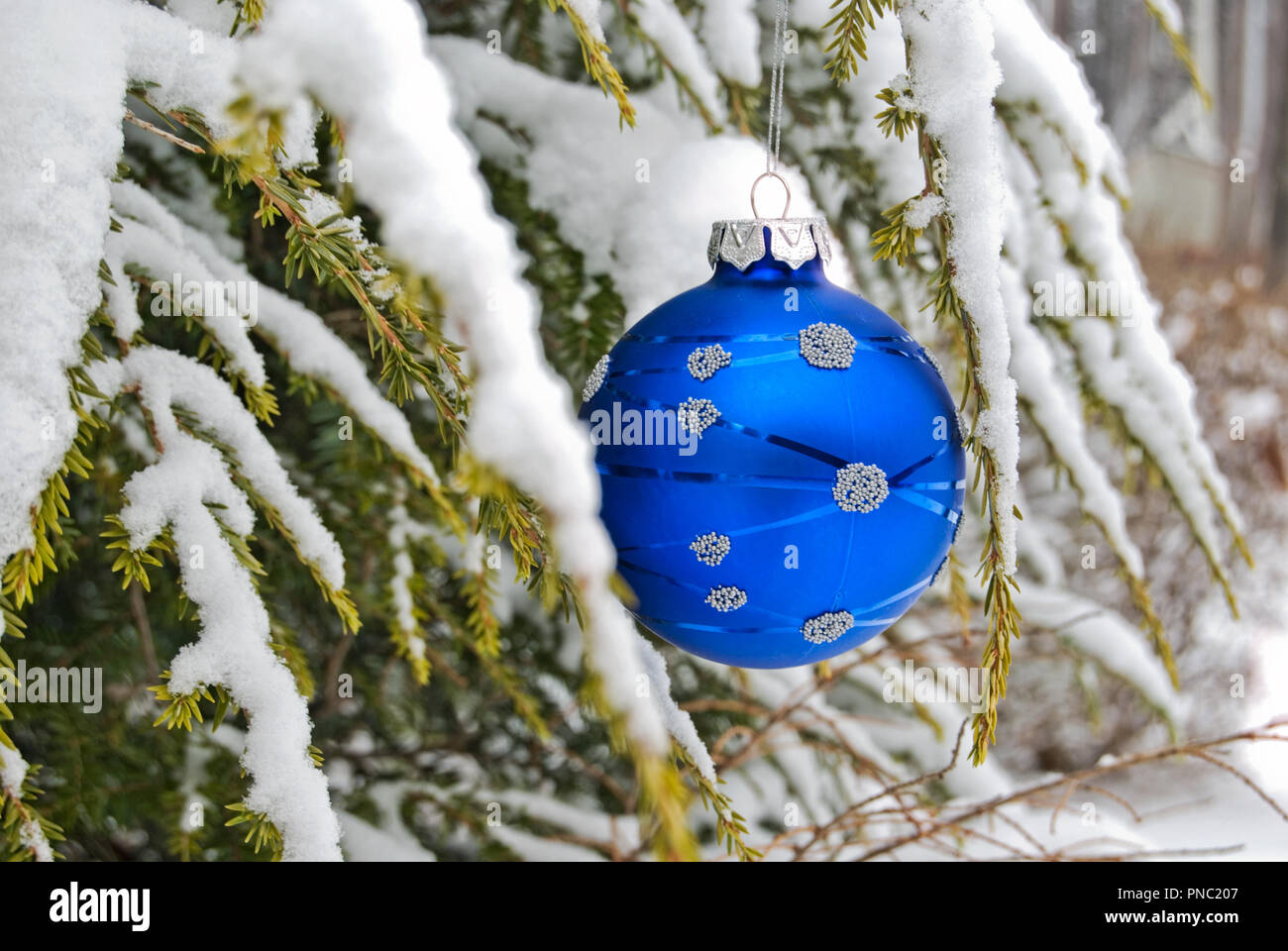 Blue ornament on branch hi-res stock photography and images - Alamy