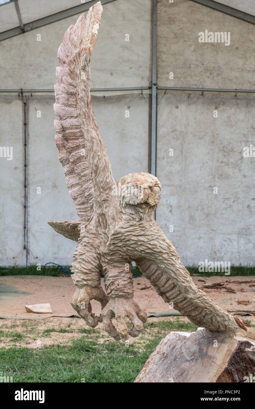 Cheshire Game & Country Fair Open Chainsaw Competition 2018 Stock Photo