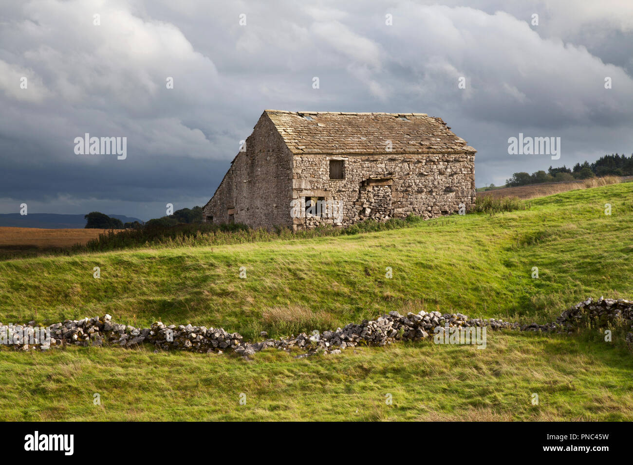 Field Barn And Pen Y Ghent Three Peaks Ribblesdale North