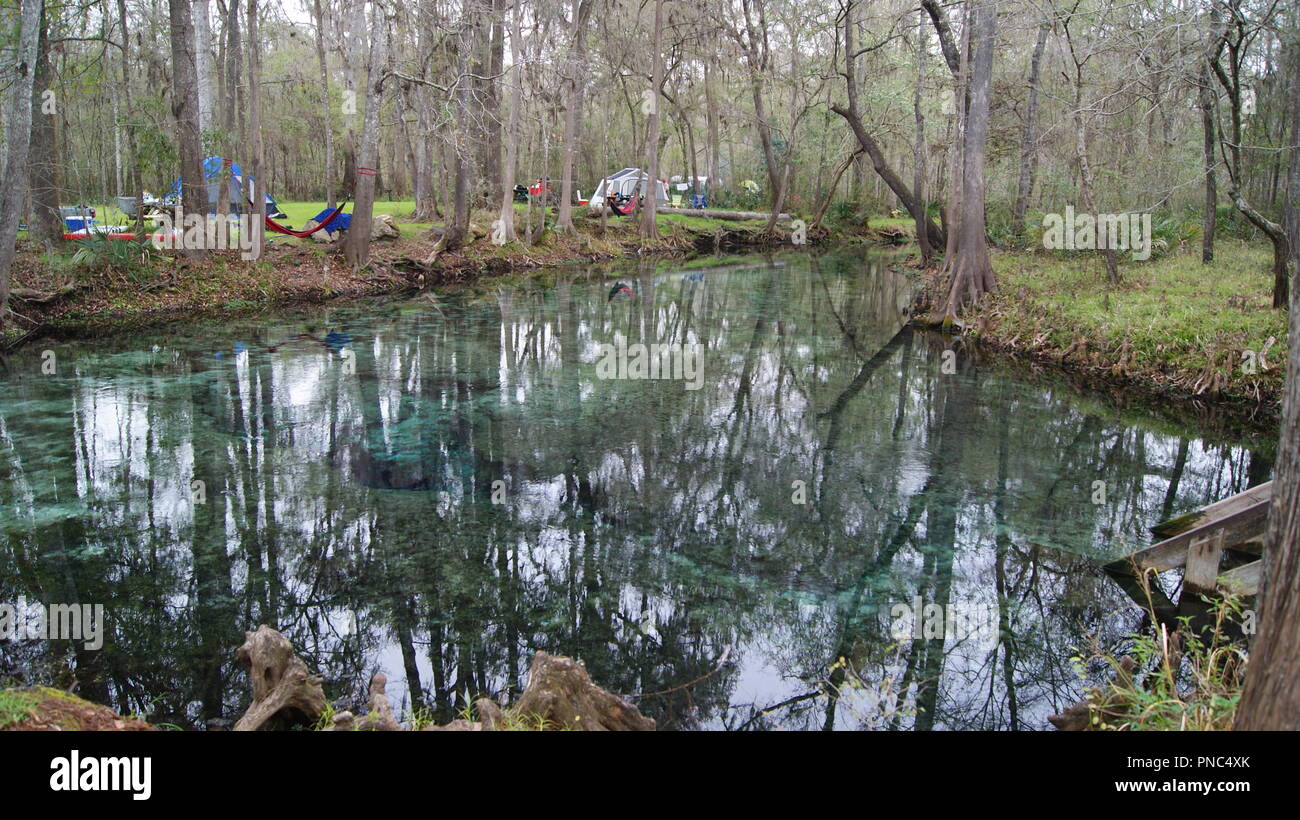 Camping in the beautiful forest in Ginnie Springs, Florida Stock Photo