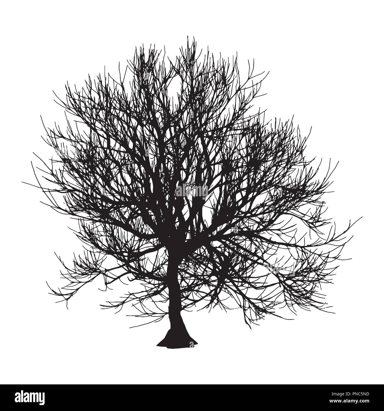Black dry tree winter or autumn silhouette on white background. Vector ...
