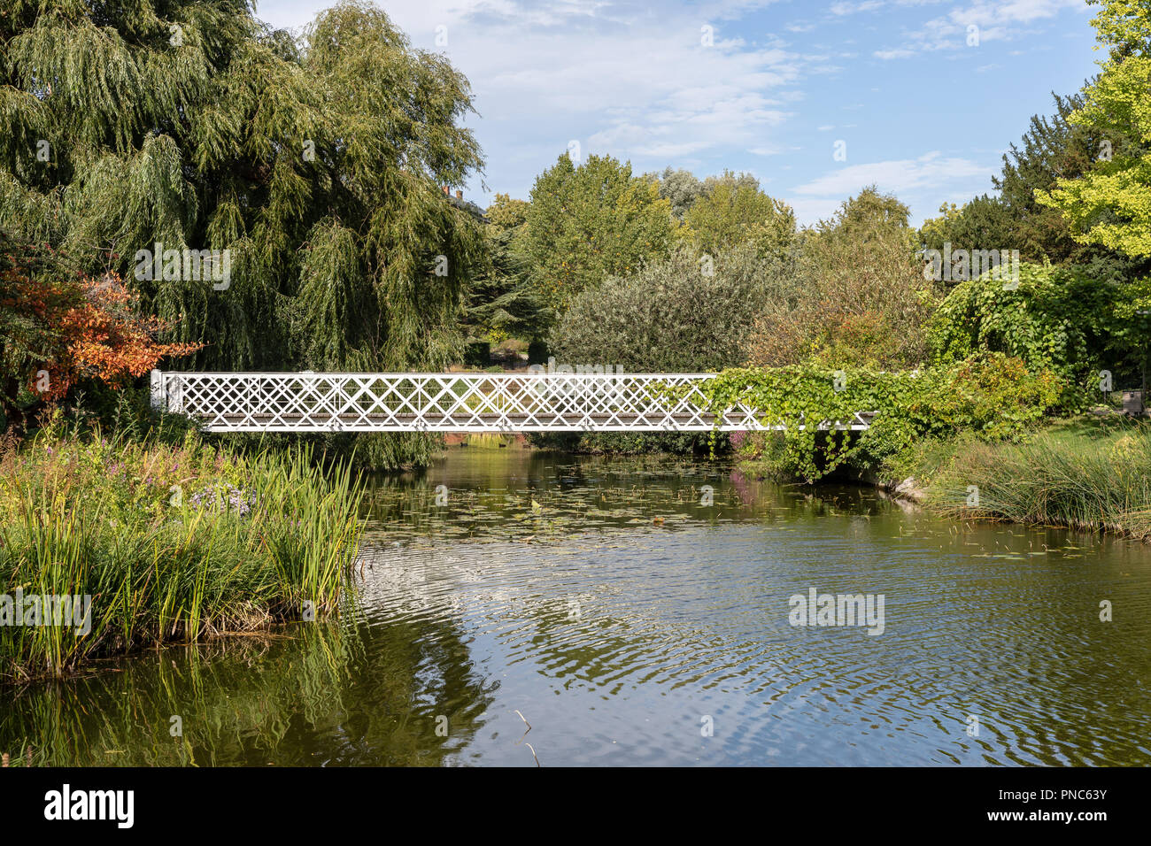 White bridge over pond in University of Copenhagen Botanical Garden, Copenhagen, Denmark Stock Photo