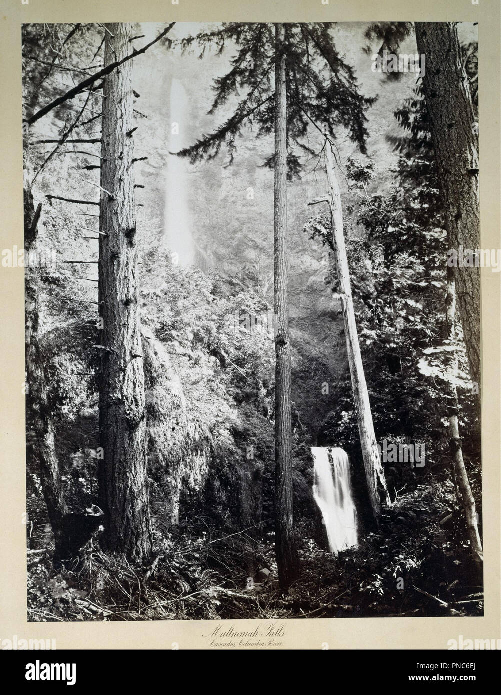 Multnomah Falls, Cascades, Columbia River. Date/Period: 1867. Albumen print from collodion negative. Width: 40 cm. Height: 52.4 cm (sheet). Author: Carleton Emmons Watkins. Stock Photo