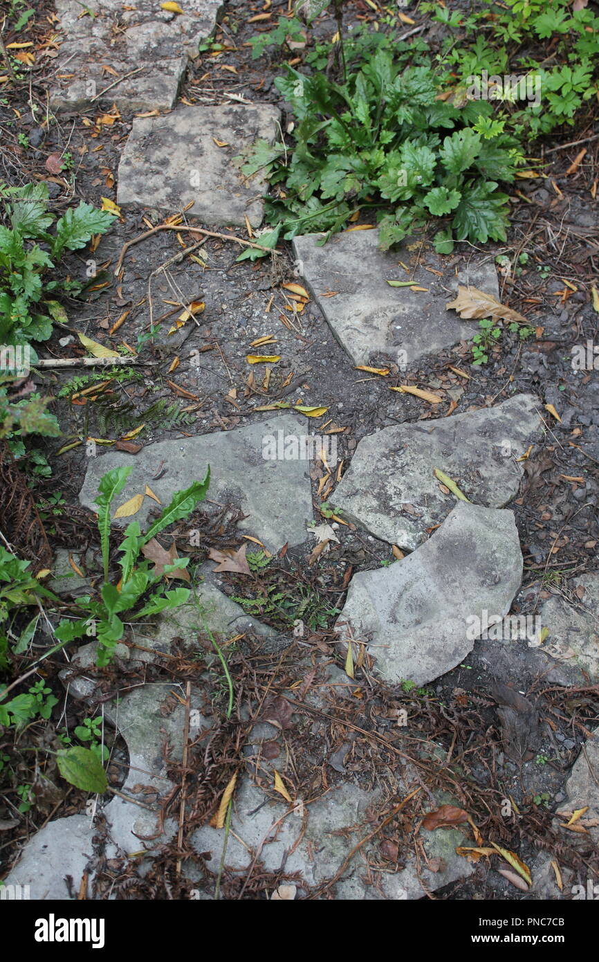 Evanston Historical Society architect designed high end vintage flagstone path located on Lake Michigan lakefront property. Stock Photo