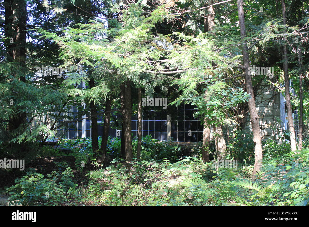 Evanston Historical Society beautiful and elegant glass wall building