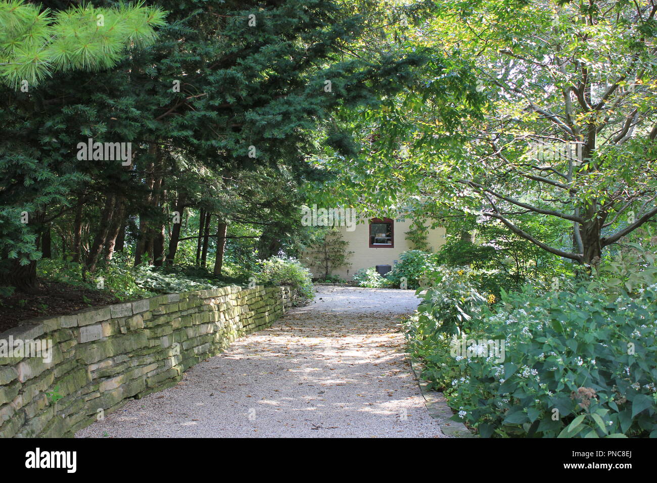 Chateau Down Driveway Trees Creating Tunnel Stock Photo 1423571123