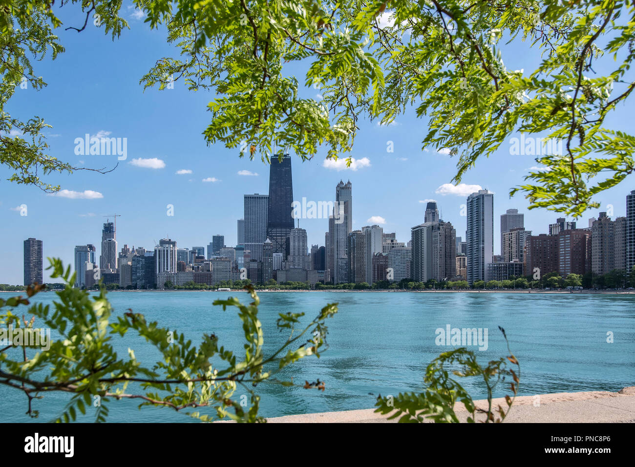 View Of The Chicago Skyline From North Avenue Beach On Lake Michigan view-of-the-chicago-skyline-from-north-avenue-beach-on-lake-michigan