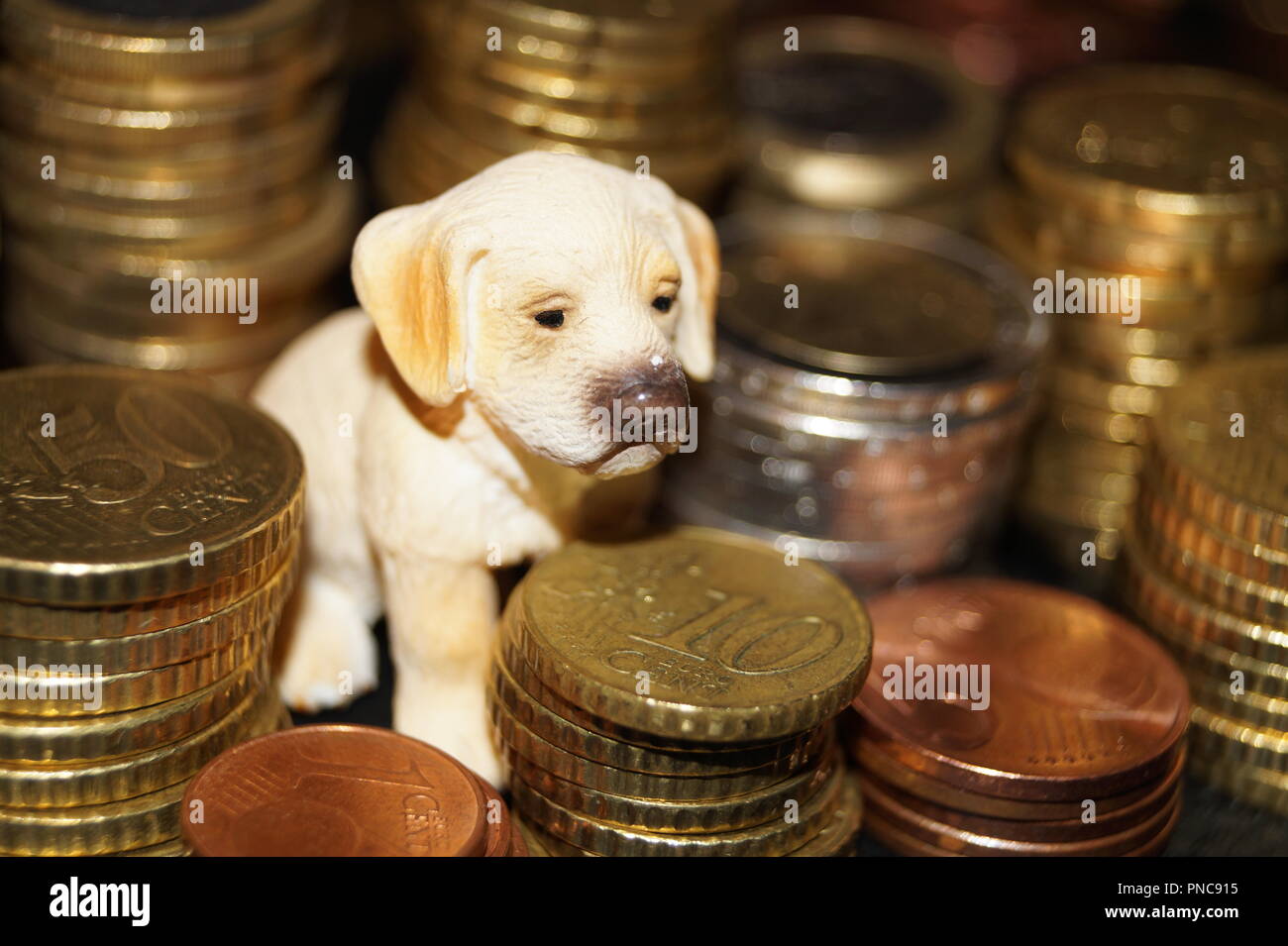 What are the costs of a pet Stock Photo Alamy