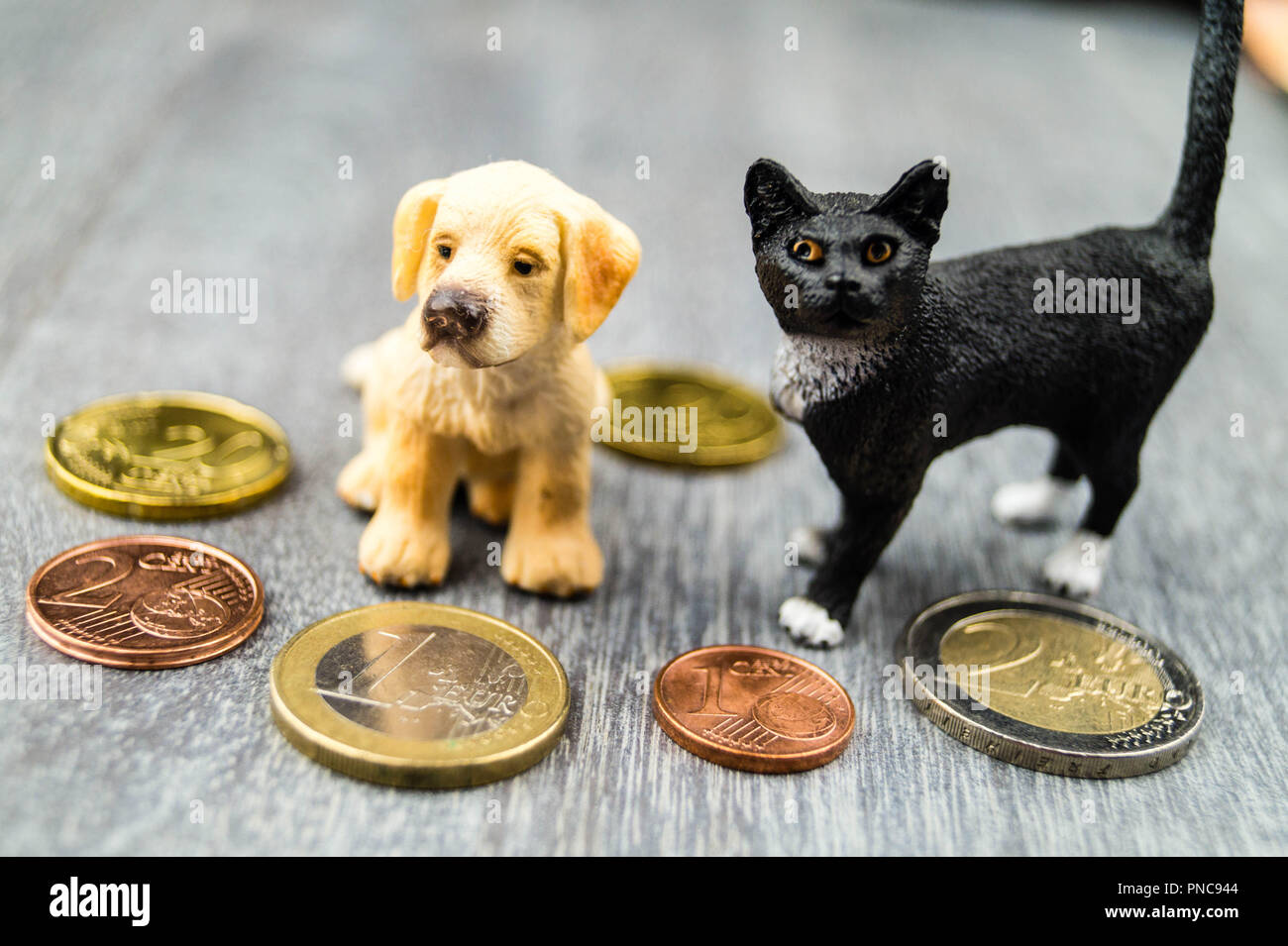 What are the costs of a pet Stock Photo Alamy