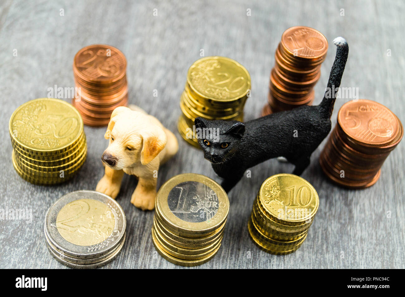 What are the costs of a pet Stock Photo