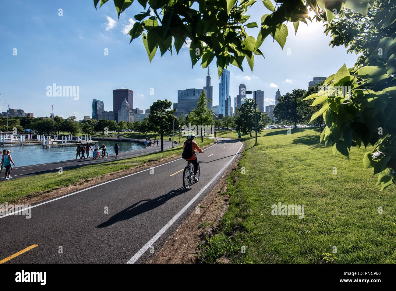 Bicycle riders on Lakefront Trail with the Chicago, IL skyline Stock