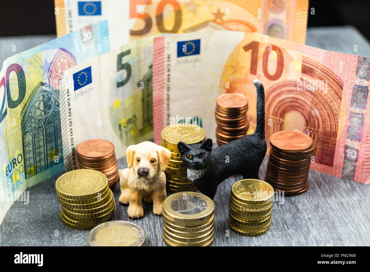 What are the costs of a pet Stock Photo