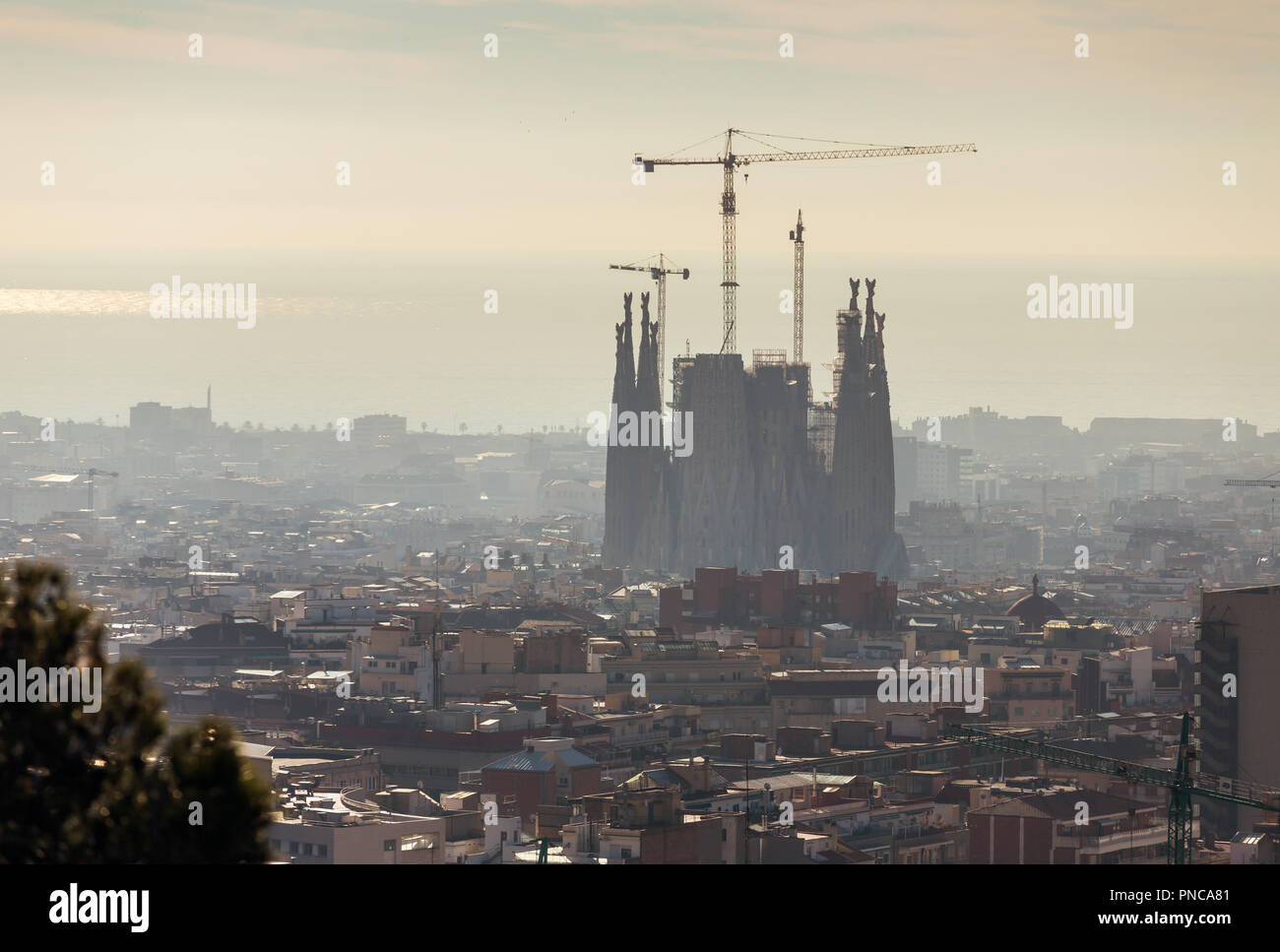 Top view of Barcelona city skyline at day time, Spain Stock Photo