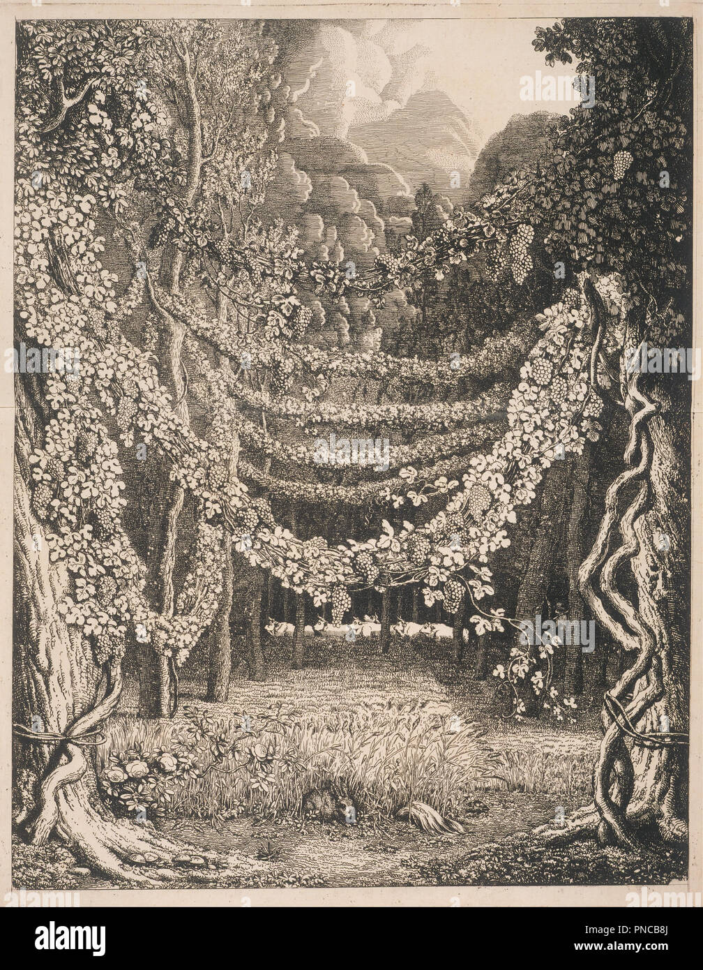 Imaginary View of a Vineyard along the Way to the Cave of Polyphemus. Date/Period: 1796. Print. Etching (early proof state) Etching (early proof state). Height: 452.12 mm (17.80 in); Width: 361.95 mm (14.25 in). Author: TISCHBEIN, JOHANN HEINRICH WILHELM. Stock Photo