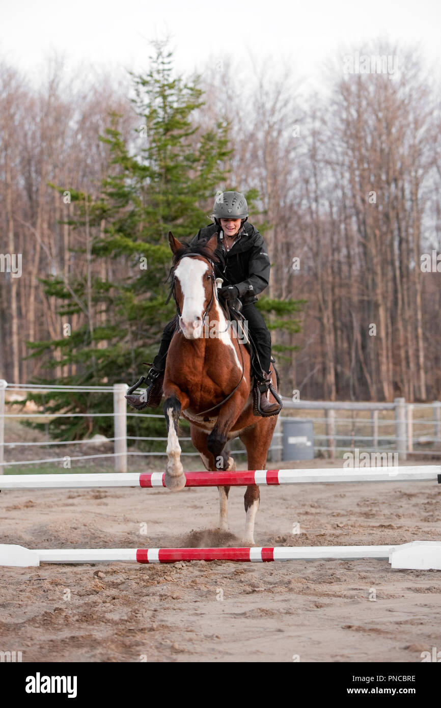 North America, Canada, Ontario, teenage girl on horse jumping hurdle Stock Photo