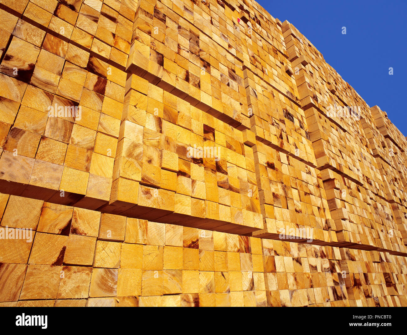 lumber stacked ready for export, North America, Canada, British Columbia, Vancouver Island, Nanaimo Stock Photo