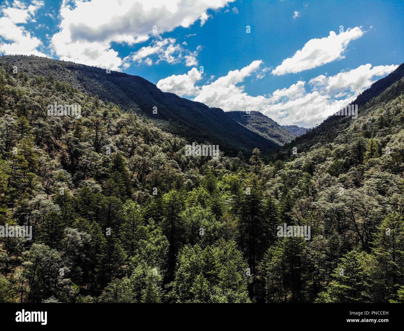 Vista aerea de paisaje rural y campamento Expedición Discovery Madrense  en el medio del bosque. rancho La Presita en La Mesa Tres Rios, Sonora Mexico Stock Photo