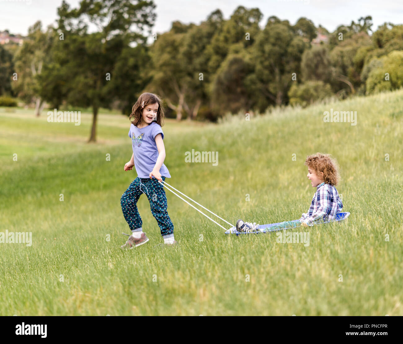 Grass sled hires stock photography and images Alamy