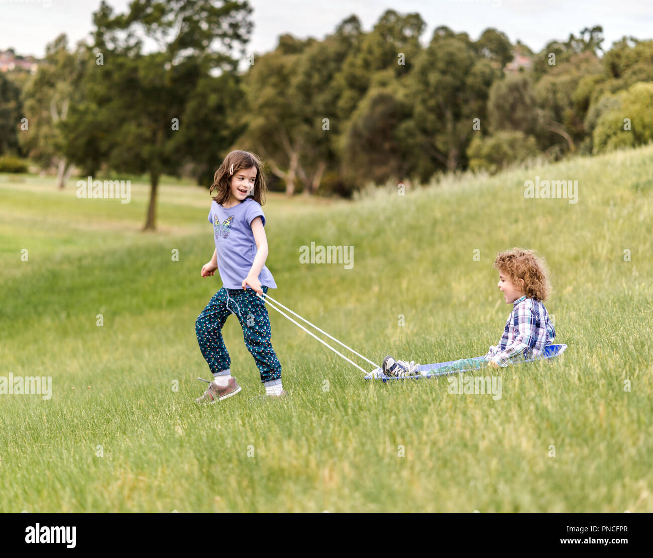 Grass sled hi-res stock photography and images - Alamy