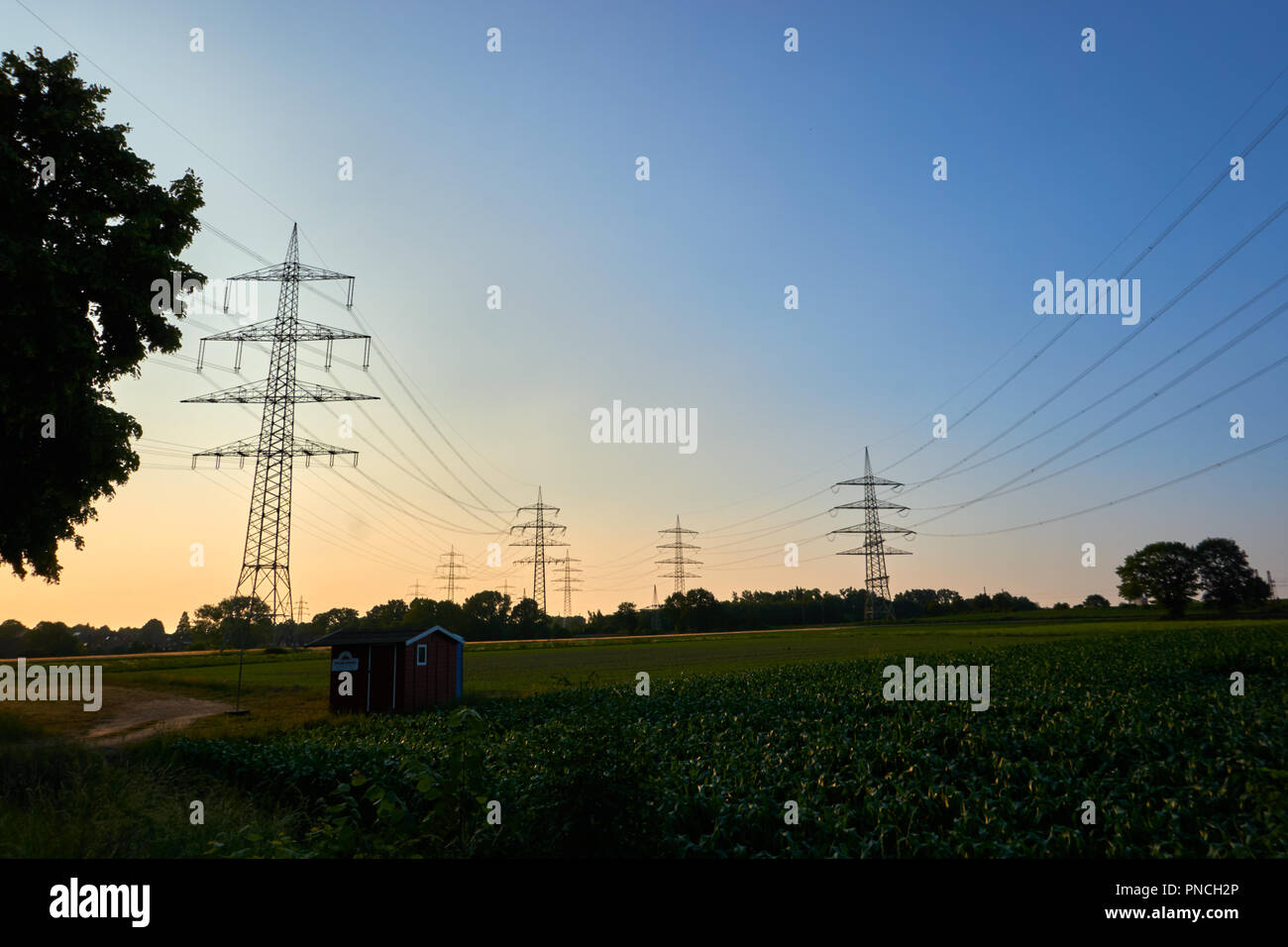 Power poles in a sunset Stock Photo