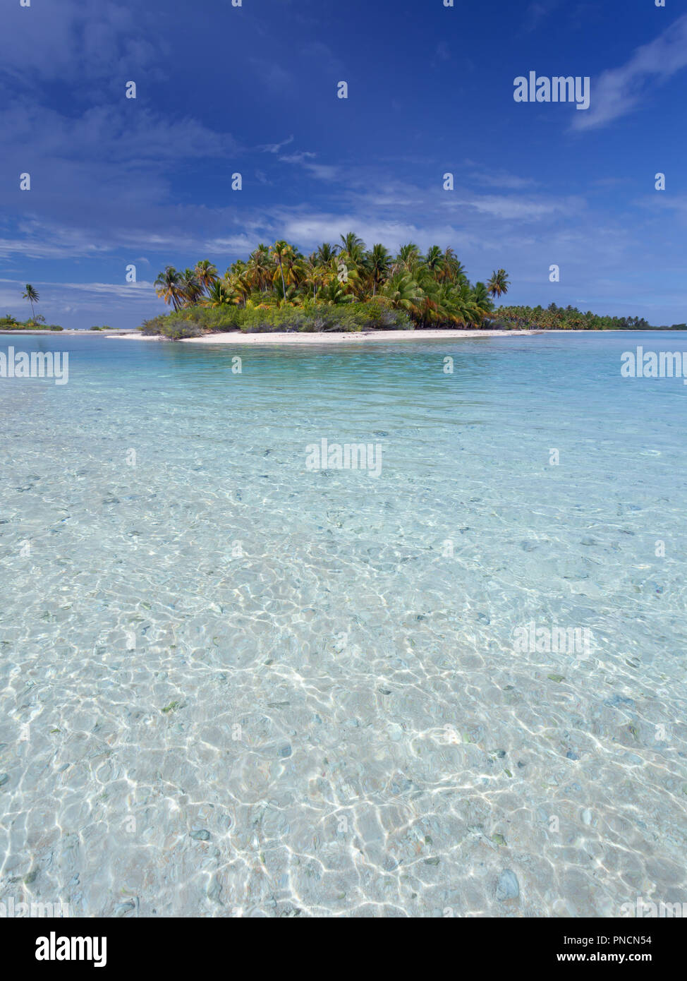 Deserted island in the beautiful atoll of Tikehau in French Polynesia Stock Photo