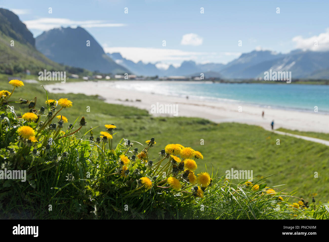 Ramberg beach, Lofoten Islands, Norway Stock Photo