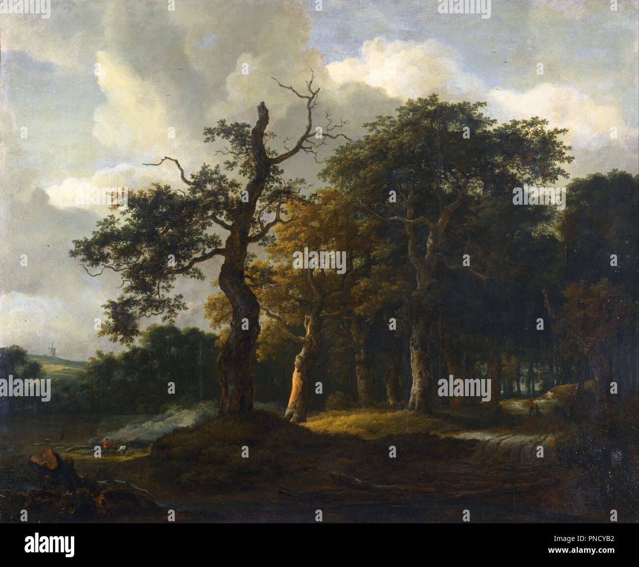 A Road through an Oak Wood. Painting. Oil on canvas. Height: 1,025 mm (40.35 in); Width: 1,270 mm (50 in). Author: Jacob van Ruisdael. Ruisdael, Jacob Isaacksz, van. Stock Photo