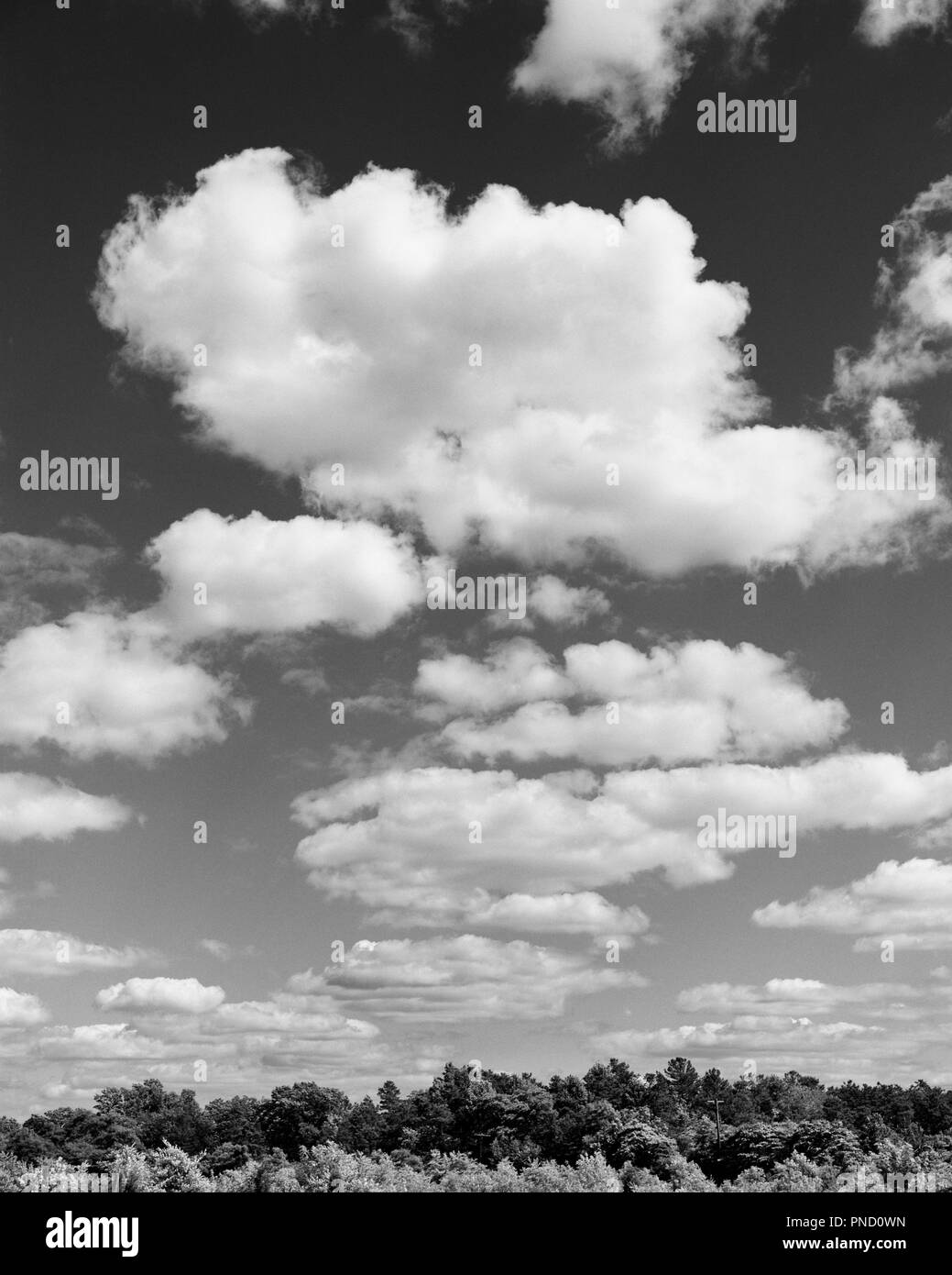 Partly cloudy bright sky Black and White Stock Photos & Images - Alamy