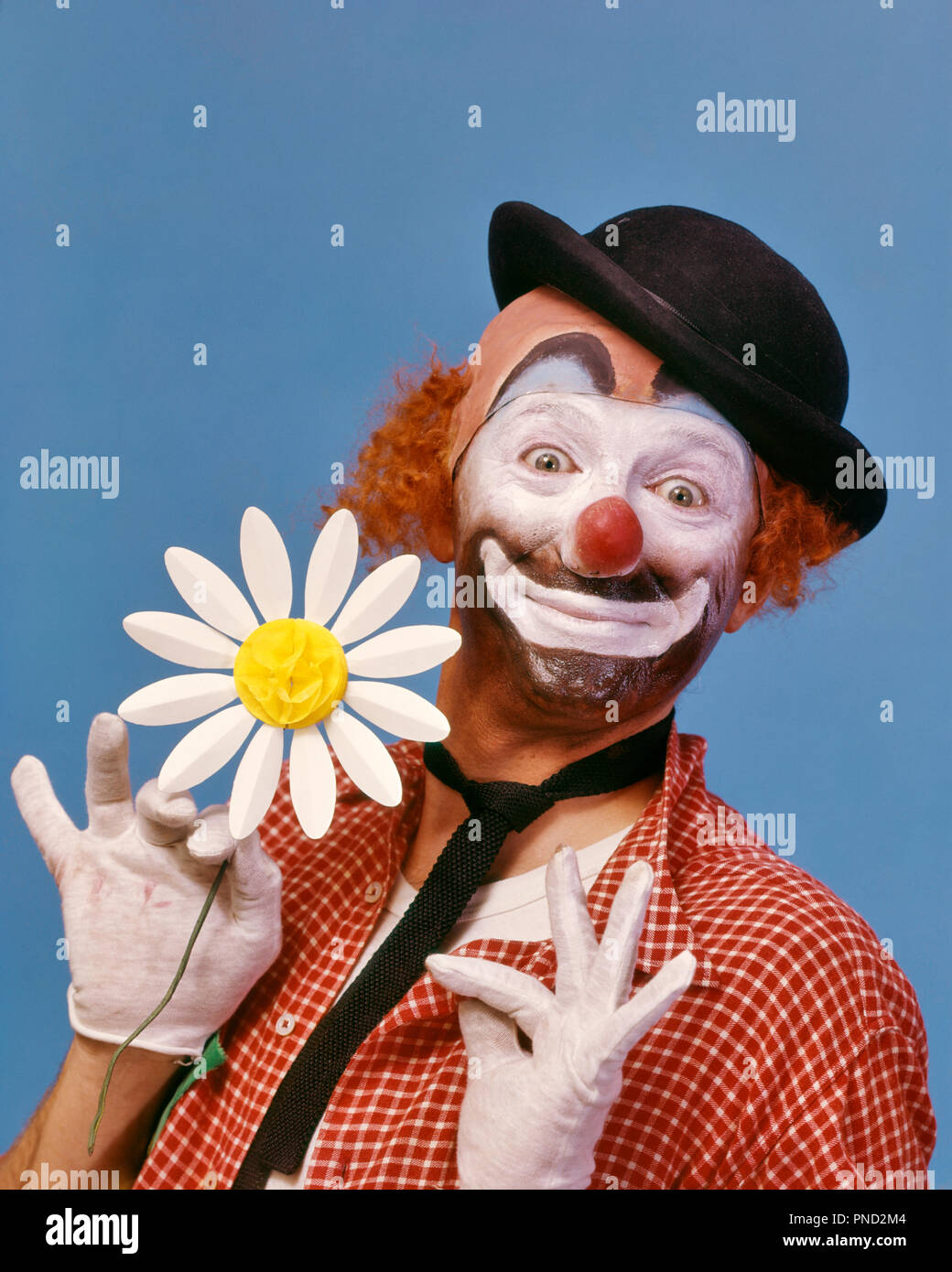 1970s SMILING WIDE-EYED WHITE FACE HOBO CLOWN WITH RED NOSE LOOKING AT CAMERA WEARING A DERBY HAT AND HOLDING A PAPER DAISY  - kc5321 PHT001 HARS HALF-LENGTH INSPIRATION TRADITIONAL ENTERTAINMENT CONFIDENCE EXPRESSIONS DAISY EYE CONTACT SUCCESS PERFORMING ARTS SKILL BUG-EYED OCCUPATION HAPPINESS SKILLS WEIRD CHEERFUL DERBY AND EXCITEMENT ZANY UNCONVENTIONAL A OCCUPATIONS SMILES RED HAIR JOYFUL STYLISH IDIOSYNCRATIC HOBO WIDE-EYED AMUSING ECCENTRIC MID-ADULT MID-ADULT MAN WHITE FACE YOUNG ADULT MAN CAUCASIAN ETHNICITY ERRATIC OLD FASHIONED RED NOSE Stock Photo