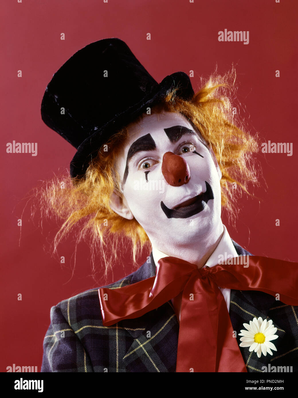 1970s SILLY WHITE FACE RED NOSE CLOWN LOOKING AT CAMERA WEARING TOP HAT ORANGE HAIR WIG PLAID JACKET AND RED RIBBON NECK TIE  - kc5322 PHT001 HARS CONFIDENCE ORANGE EXPRESSIONS EYE CONTACT BIZARRE SUCCESS PERFORMING ARTS HAPPINESS WEIRD PERFORMER AND EXCITEMENT ZANY UNCONVENTIONAL OF ENTERTAINER OCCUPATIONS WHITEFACE COULROPHOBIA ACTORS NECK TIE STYLISH IDIOSYNCRATIC AMUSING ECCENTRIC ENTERTAINERS MID-ADULT MID-ADULT MAN PERFORMERS TOP HAT YOUNG ADULT MAN CAUCASIAN ETHNICITY ERRATIC OLD FASHIONED RED NOSE Stock Photo