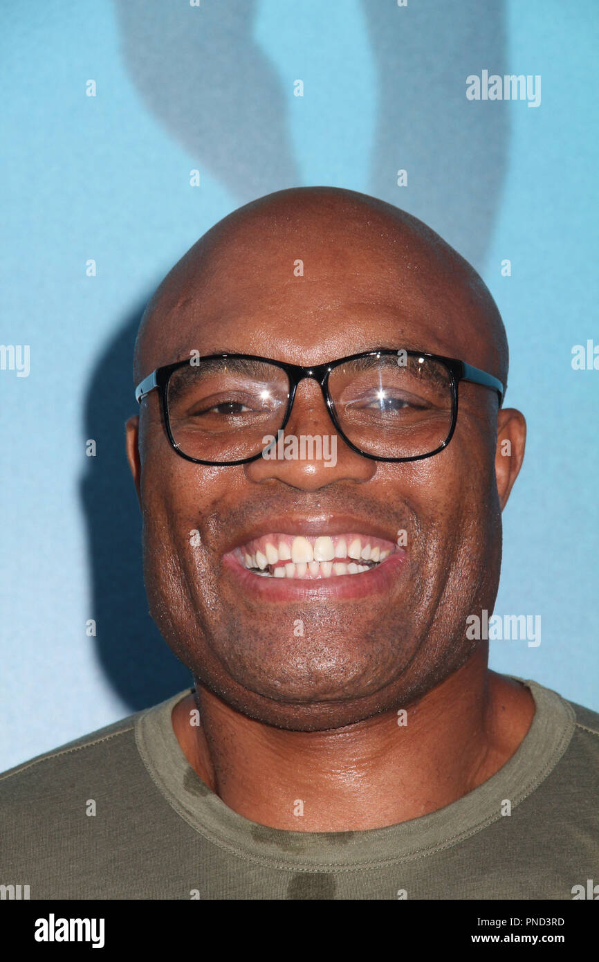 Anderson silva hi-res stock photography and images - Alamy