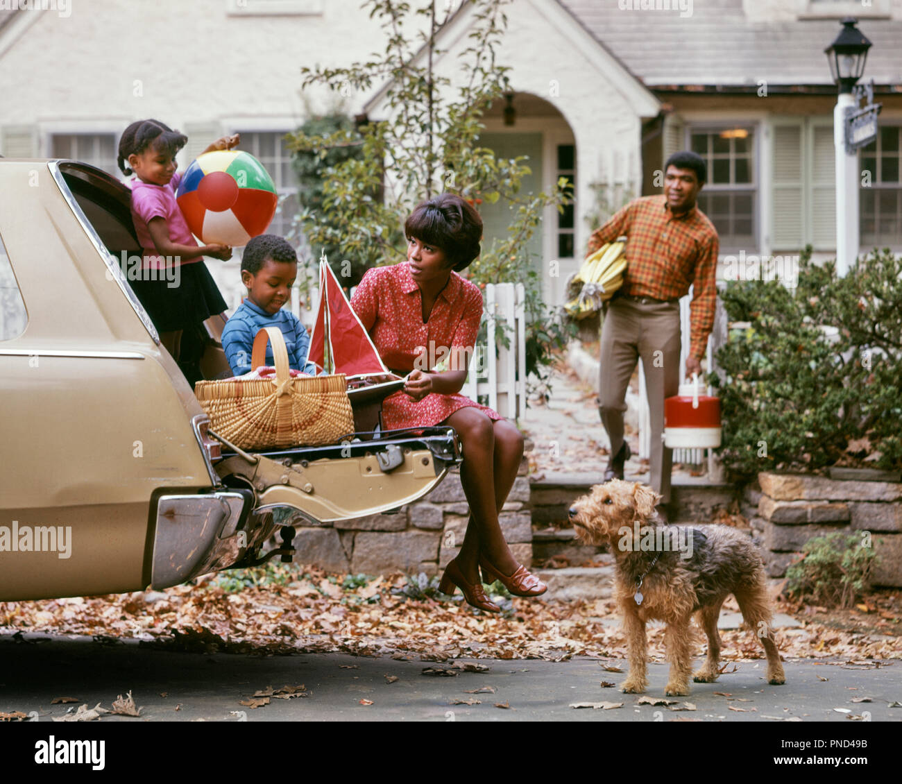 1970s AFRICAN AMERICAN FAMILY OF FOUR LOADING CAR FOR PICNIC MAN WOMAN BOY GIRL - km3317 PHT001 HARS FUN CARS TOGETHER HUSBAND DOGS FOUR ETHNIC NOSTALGIC 4 SUBURBAN COLOR RELATIONSHIP MOTHERS OLD TIME NOSTALGIA OLD FASHION AUTO JUVENILE MOTOR VEHICLE FRIEND YOUNG ADULT TEAMWORK FAMILIES JOY LIFESTYLE PARENTING FEMALES RELATION HUSBANDS GROWNUP HEALTHINESS HOME LIFE COPY SPACE FRIENDSHIP HALF-LENGTH PERSONS GROWN-UP AUTOMOBILE MALES AMERICANS TRANSPORTATION FATHERS HUSBAND AND WIFE MEN AND WOMEN HUSBANDS AND WIVES LOADING HAPPINESS NOURISH ADVENTURE LEISURE MOTOR VEHICLE AFRICAN-AMERICANS Stock Photo