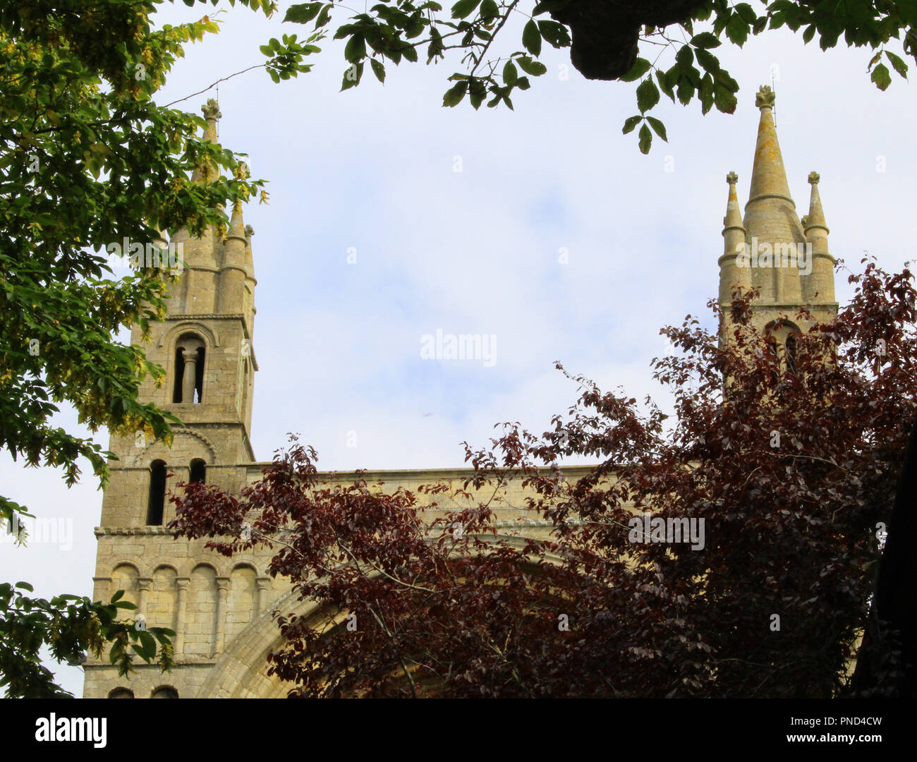 Cathedral behind trees Stock Photo - Alamy