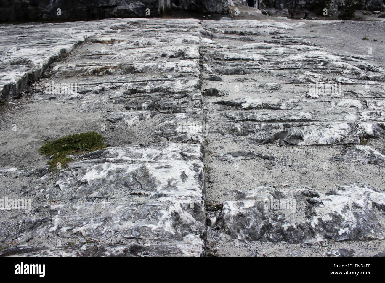White marble with gray streaks hi-res stock photography and images - Alamy