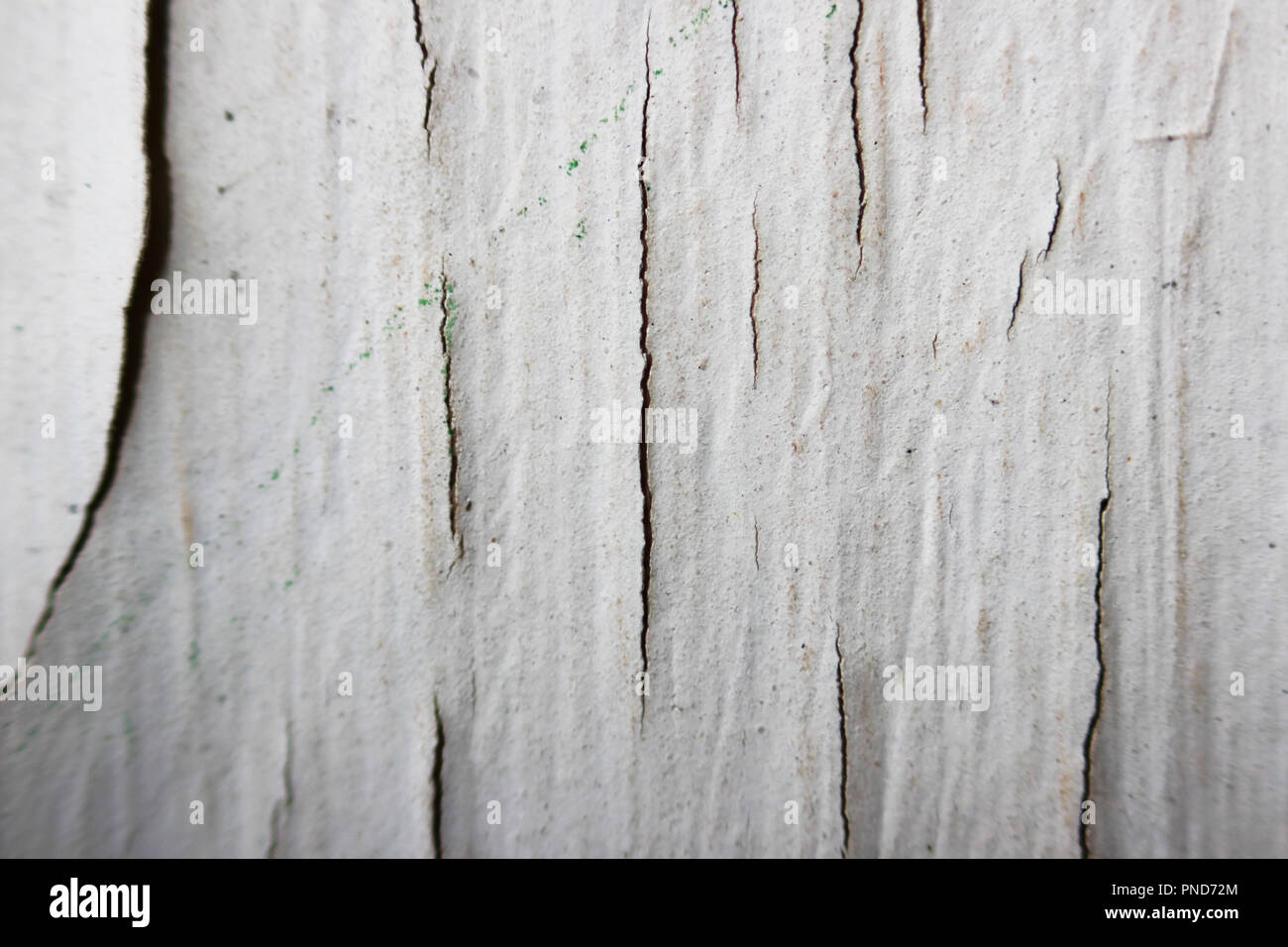 old white flaky peeling paint on a wooden window frame, macro. Stock Photo