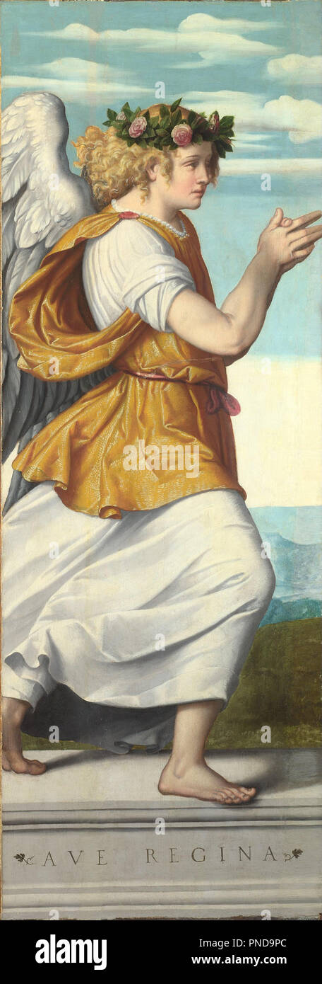 An Adoring Angel. Painting. Oil on panel. Height: 154 cm (60.6 in); Width: 54.2 cm (21.3 in). Author: MORETTO DA BRESCIA. Stock Photo