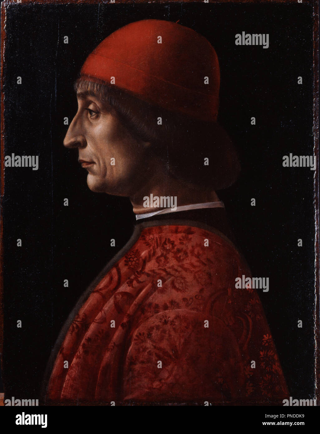 Portrait of Giovanni Francesco Brivio. Date/Period: 1495. Panel. Height: 46.50 mm (1.83 in); Width: 36.70 mm (1.44 in). Author: Vincenzo Foppa. FOPPA, VINCENZO. Stock Photo