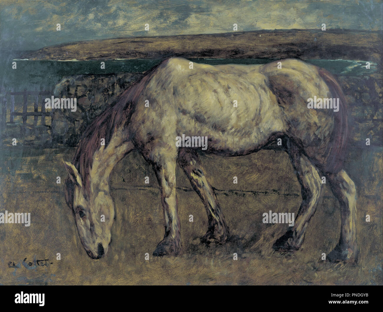 Old Horse in the Wasteland. Date/Period: 1898. Painting. Oil on panel. Height: 697 mm (27.44 in); Width: 937 mm (36.88 in). Author: CHARLES COTTET. Stock Photo
