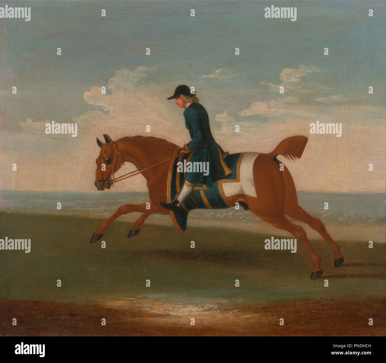 Saddle Cloth High Resolution Stock Photography And Images Alamy