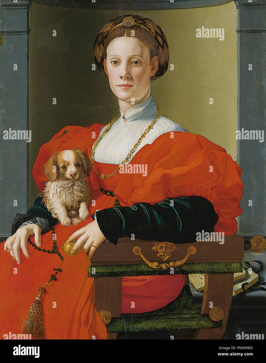 Portrait of a Lady with a Lapdog. Date/Period: 1537/1540. Poplar. Width: 70.5 cm. Height: 89.8 cm (Complete). Author: Agnolo Bronzino (Jacopo Carucci). Pontormo. Jacopo Pontormo. Stock Photo