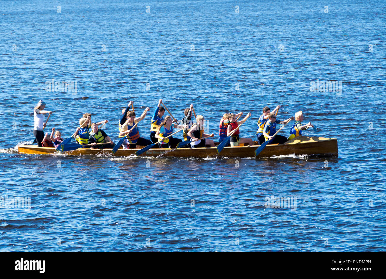 Canadian war canoe with 15 kids paddlers open the pumpkin race Stock ...