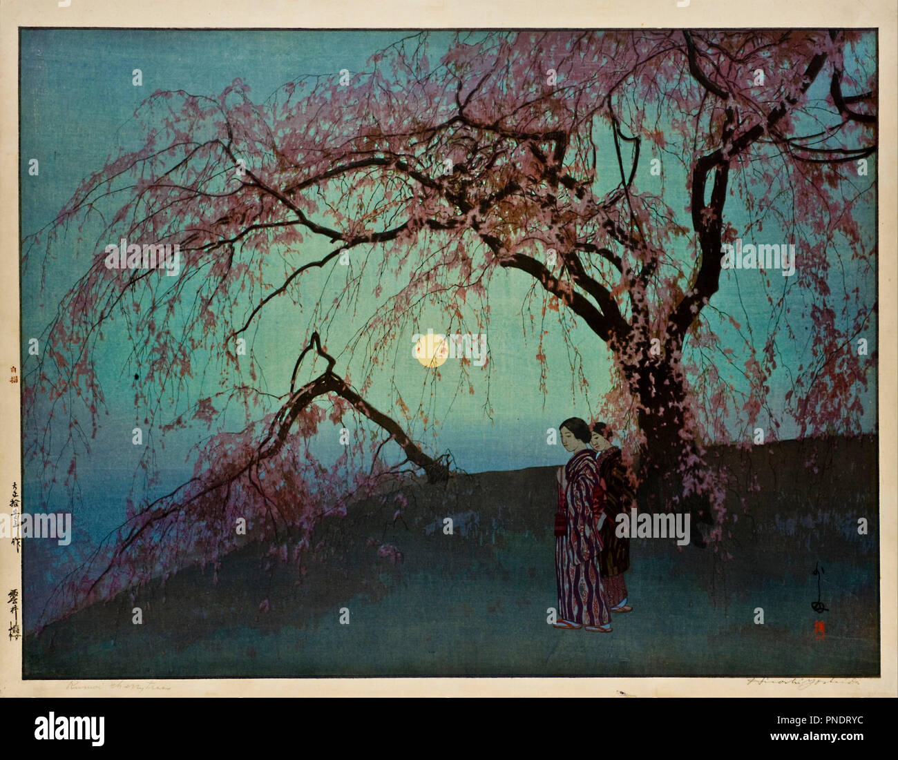 Kumoi-Zakura (Kumoi Cherry Trees). Date/Period: 1920. Print. Woodblock color print on paper. Height: 294 mm (11.57 in); Width: 451 mm (17.75 in). Author: HIROSHI YOSHIDA. Stock Photo