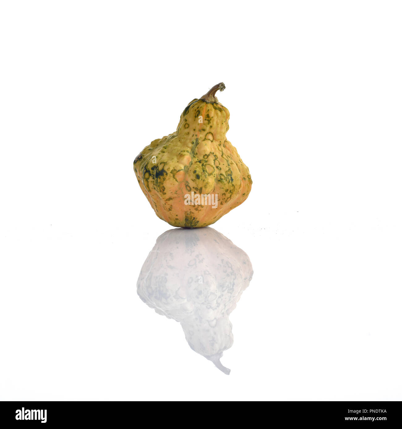Decorative Colorful Mini Pumpkin on white background Stock Photo - Alamy