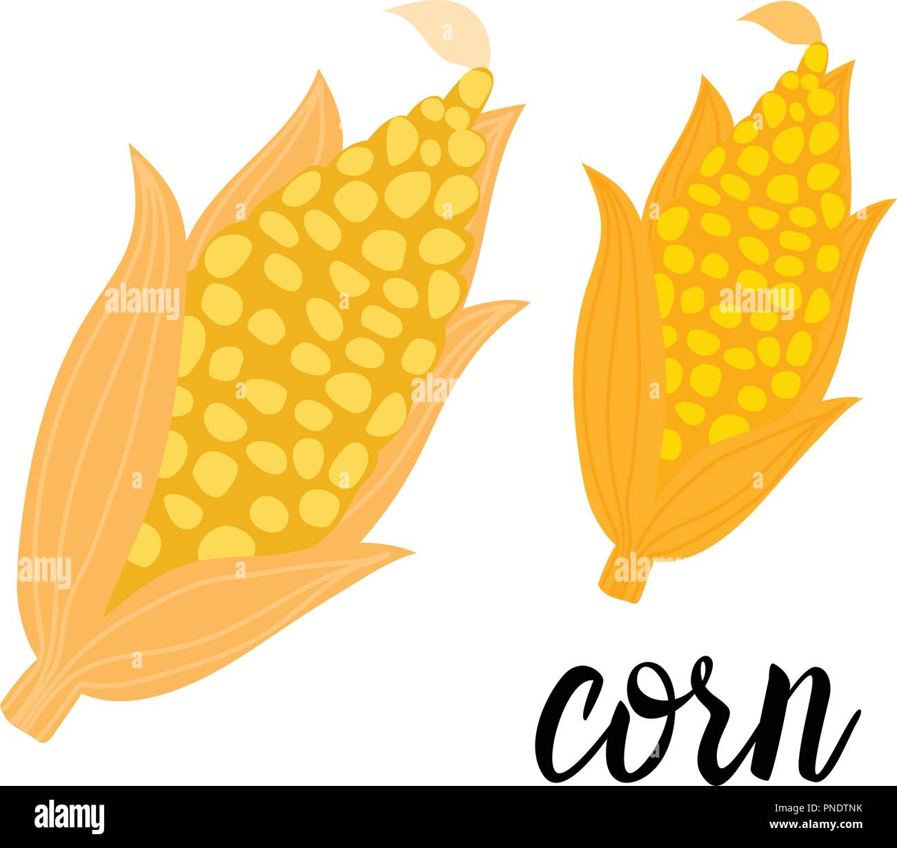 Cartoon Corncob Orange Vector ilustration isolated on white background. Stock Vector