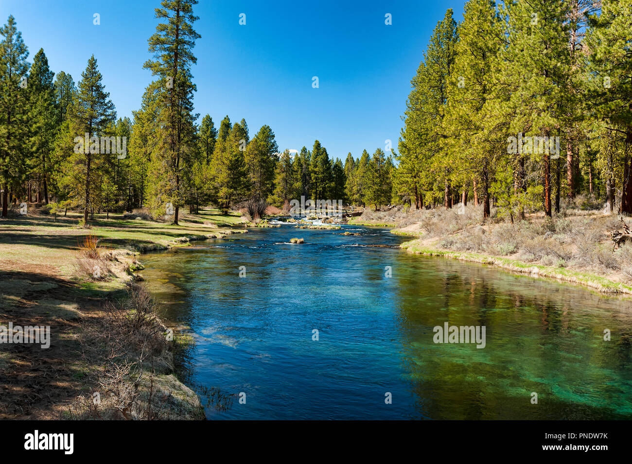 Spring Creek flows through Collier Memorial Park near Chiloquin, Oregon in the high desert
