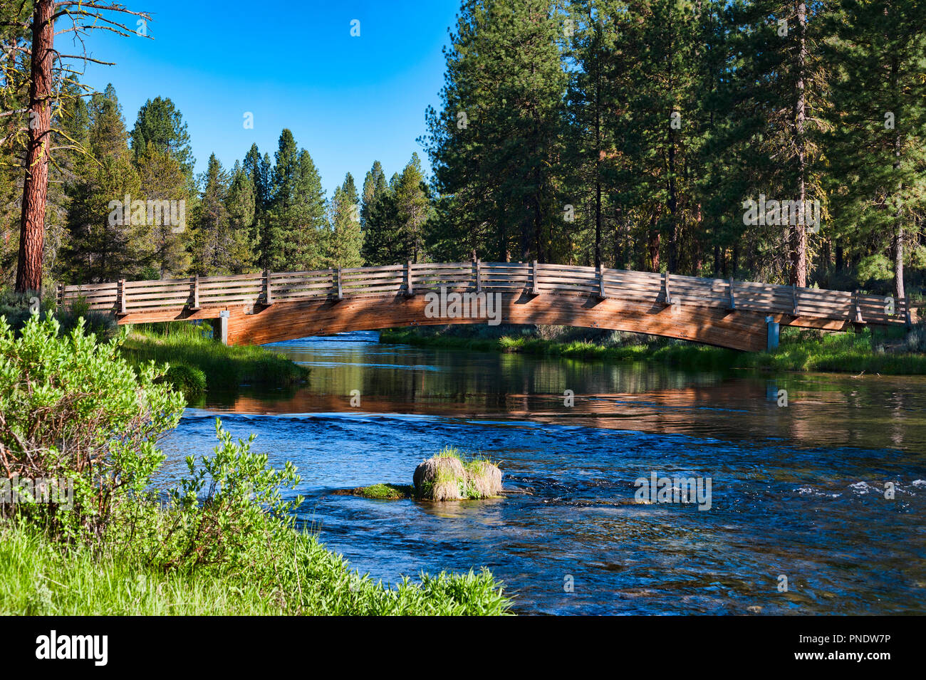 Foot bridge crossing over Spring Creek at Collier Memorial State Park