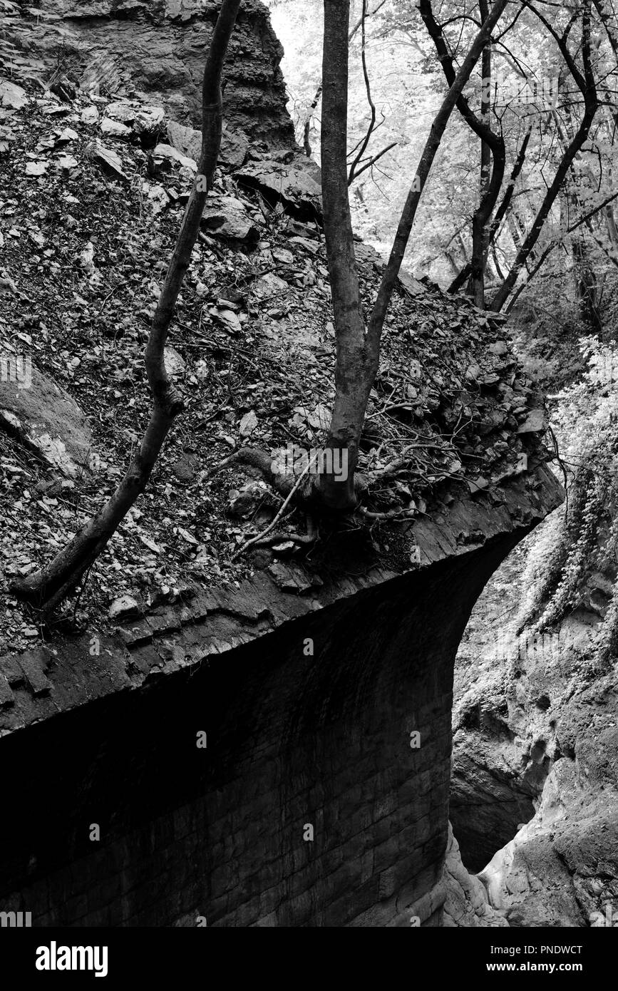 Retaining wall of an abandoned quarry Stock Photo
