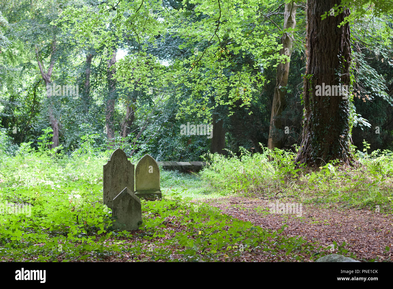 Three ancient grave markers in an old woodland cemetery in Ireland with