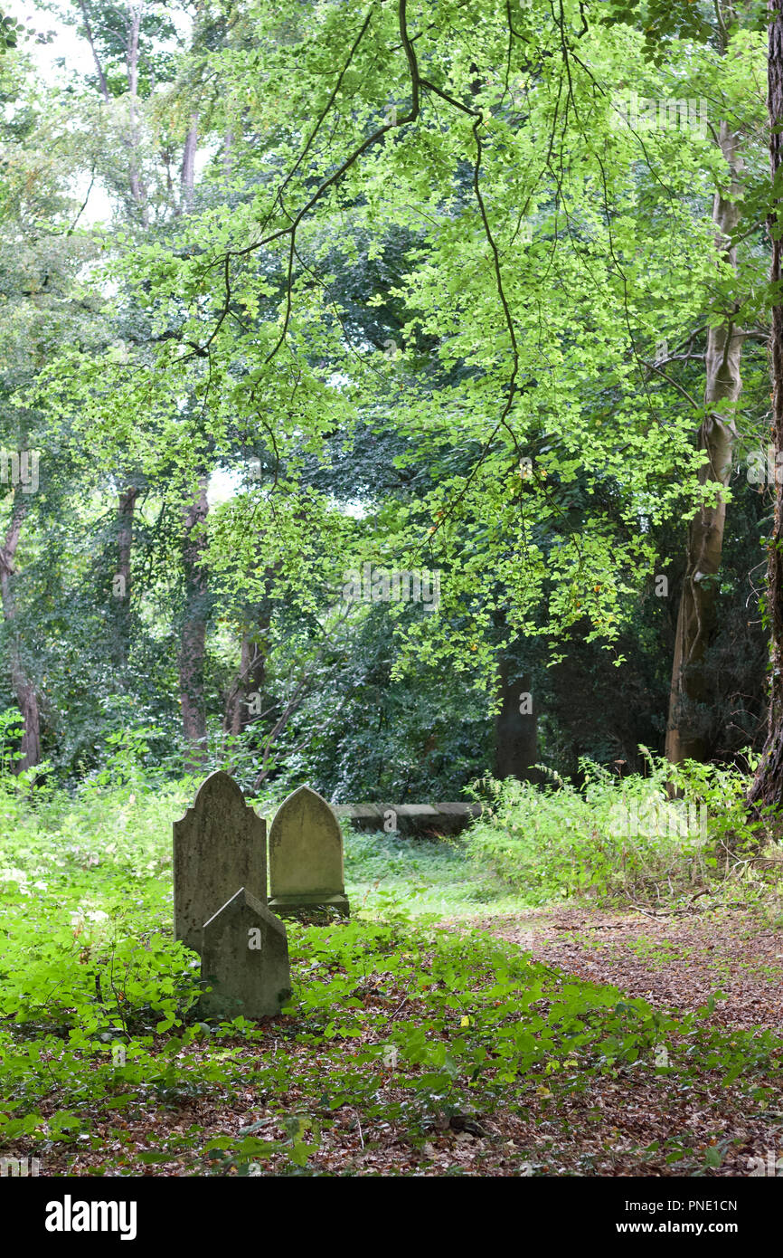 Three ancient grave markers in an old woodland cemetery in Ireland with