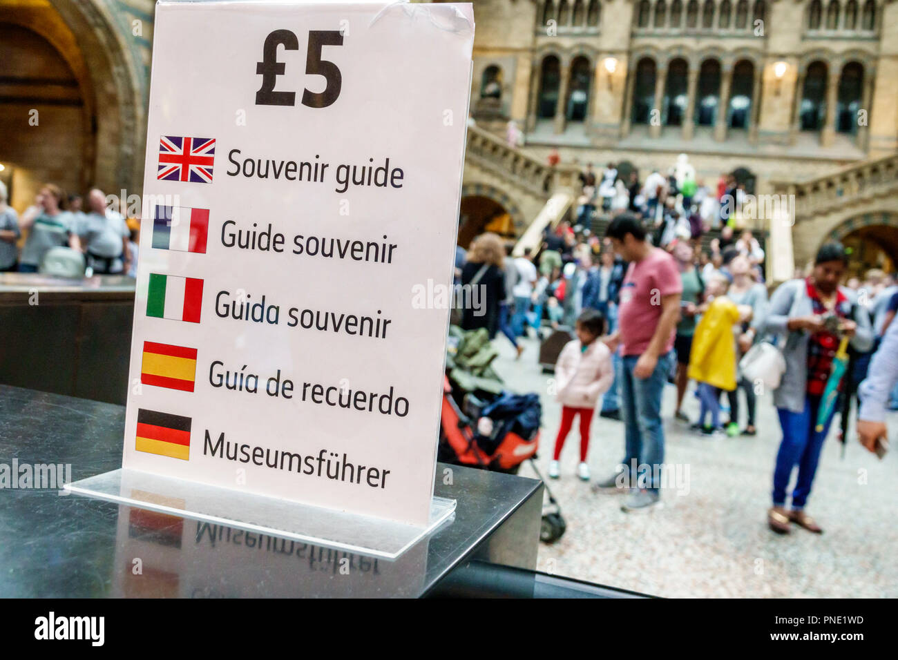 London England,UK,Kensington,Natural History Museum,inside interior,Mail Hall,souvenir guide for sale,multiple languages,French,Spanish,German,English Stock Photo